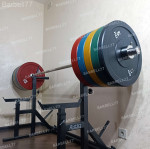 ШТАНГА ОЛИМПИЙСКАЯ 174 КГ БАМПЕРНЫЕ ДИСКИ D51